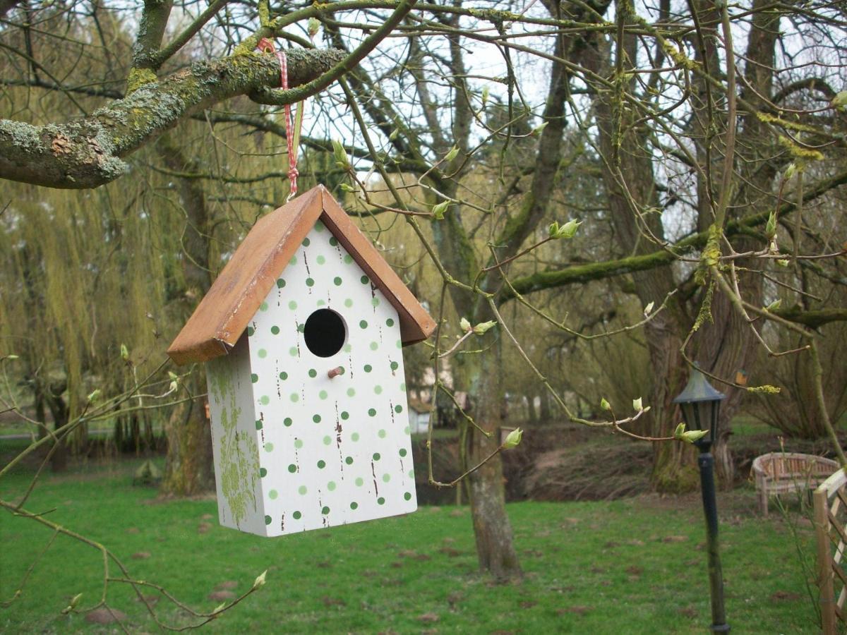Moulin De Moxhe Micro Gite Et Gite - Bed & Dreams Esterno foto